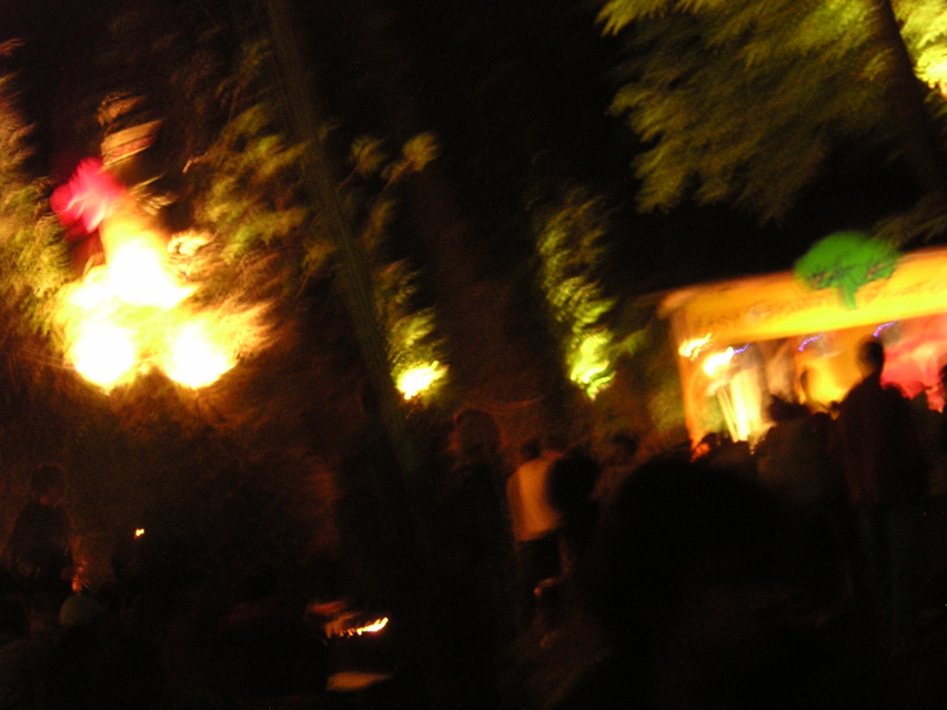 Novi Sad - Exit festival