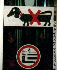 No Weiner Dogs allowed!